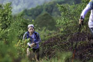 BIB: 
                            <button type="button" onclick="openModal(24763623)" class="btn btn-primary btn-sm float-right btn-popup" data-toggle="modal" data-target=".modal-high-quality">
                        <i class="fas fa-shopping-cart"></i> Add to Cart
                    </button>
                                            <button type="button" onclick="isThisMe(24763623, true)" class="btn btn-success btn-sm float-right btn-popup btn-isme hidden" data-toggle="tooltip" data-placement="bottom" title="นี่คือรูปของคุณใช่ไหม คลิกที่นี่เพื่อเอาเข้าอัลบั้ม">
                        <i class="fas fa-plus"></i> Add to album
                    </button>
                    <button type="button" onclick="isThisMe(24763623, false)" class="btn btn-warning btn-sm float-right btn-popup btn-isnotme hidden">
                        <i class="fas fa-ban"></i> Remove from album
                    </button>